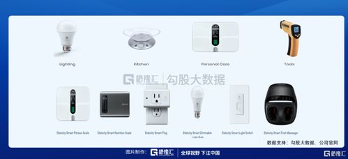 垂直类电子产品电商 巨头退潮后的新蓝海